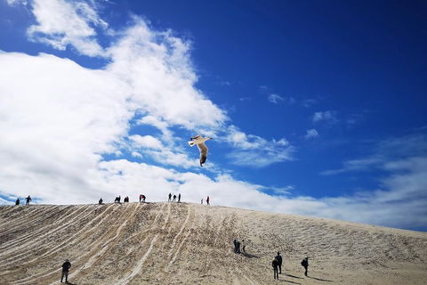 Private Tour To Pinnacles, Yanchep, Lobster Shack And Lancelin - Melbourne Tourism 1