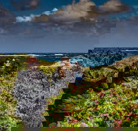 Guided Walks on the Cape to Cape - Wilyabrup Cliffs - Melbourne Tourism