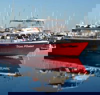 Perth Deep Sea Fishing Trip - Melbourne Tourism