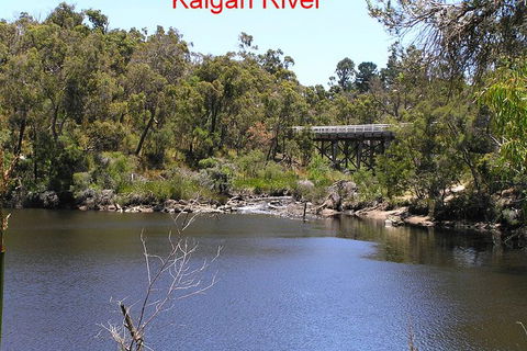 Kalgan Queen Scenic Cruises A Four Hour Sheltered Water Wildlife Tour Daily Fun. - Melbourne Tourism 3