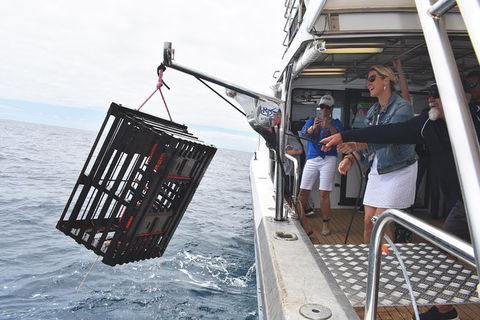 Rottnest Island Wild Seafood Package From Perth With Transfer - Melbourne Tourism 0