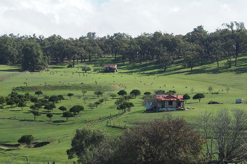 Perth Hills, York And Wave Rock 2 Day Private Tour - Melbourne Tourism 1