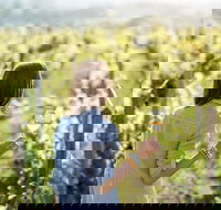 5 Hours Wineries Coffee Tasting Forest  Lunch at the Berry Farm - Melbourne Tourism