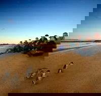 Phillip Island Ultimate Penguin Eco Tour or Skybox Experience - Melbourne Tourism