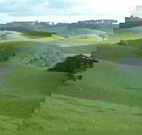 Day Tour of Phillip Island  Surrounding Region - Melbourne Tourism