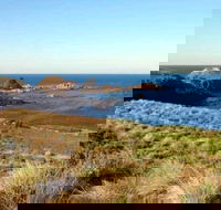 Phillip Island Walking  Bird Watching Tour - Melbourne Tourism