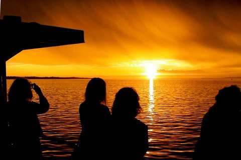 Phillip Island Twilight Cruise - Melbourne Tourism 1