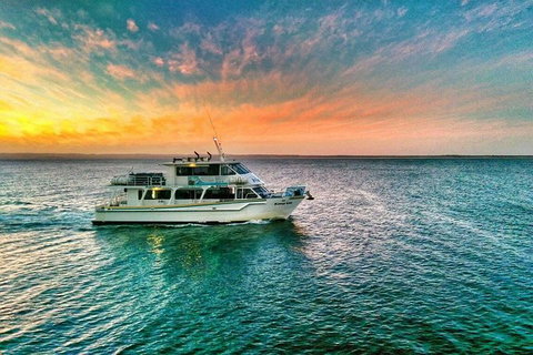 Phillip Island Twilight Cruise - Melbourne Tourism 3