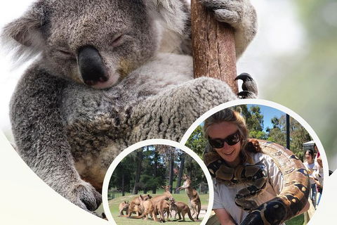 Ballarat Wildlife Park - Melbourne Tourism 0