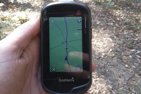 GPS Guided Walks In The Daylesford Forest - Melbourne Tourism 0