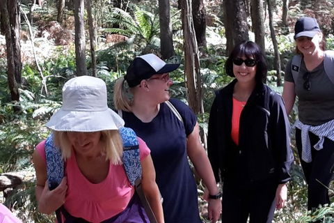 GPS Guided Walks In The Daylesford Forest - Melbourne Tourism 1