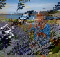 Port Arthur and Lavender Farm Active Day Tour - Melbourne Tourism