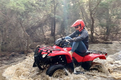 Half-Day Guided ATV Exploration Tour From Coles Bay - Melbourne Tourism 7