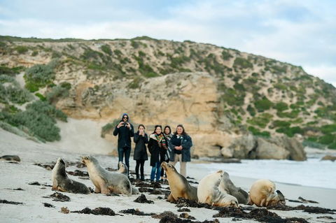 Small-Group Kangaroo Island 4WD Tour From Adelaide - Melbourne Tourism 0