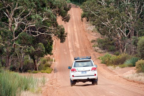 Small-Group Kangaroo Island 4WD Tour From Adelaide - Melbourne Tourism 7