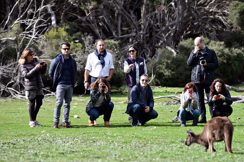 Small-Group Kangaroo Island 4WD Tour From Adelaide - Melbourne Tourism 3