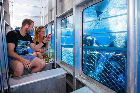 White Shark Tour With Optional Cage Dive From Port Lincoln - Melbourne Tourism 4