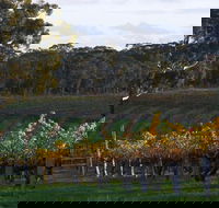 Barossa Valley with Hahndorf Tour from Adelaide - Melbourne Tourism