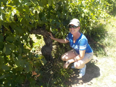 Barossa Valley Wineries Tour With Tastings And Lunch From Adelaide - Melbourne Tourism 11