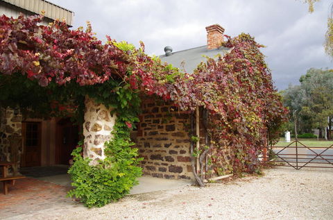 Barossa Valley Wineries Tour With Tastings And Lunch From Adelaide - Melbourne Tourism 3