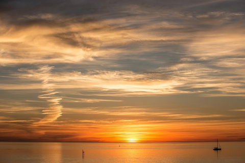 McLaren Vale And Glenelg Wine Tasting And Sightseeing (Half-day Afternoon) - Melbourne Tourism 4