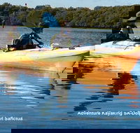 Adelaide Dolphin Sanctuary and Ships Graveyard Kayak Tour - Melbourne Tourism