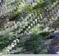 Self-Guided Waterfall Gully to Mount Lofty Hike from Adelaide - Melbourne Tourism