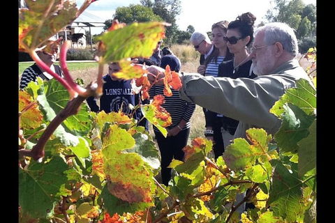 Barossa Valley Via Hahndorf ( Historical German Village ) Inc Maggie Beers Farm - Melbourne Tourism 4