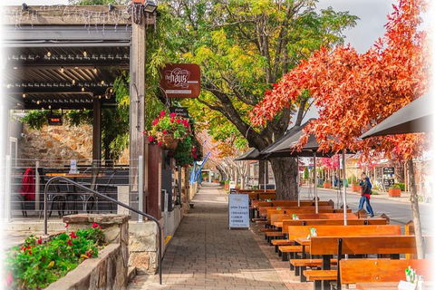 Barossa Valley Via Hahndorf ( Historical German Village ) Inc Maggie Beers Farm - Melbourne Tourism 6