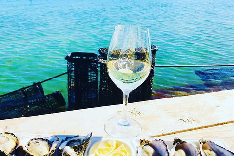 Coffin Bay Oyster Farm & Tasting Tour - Melbourne Tourism 11