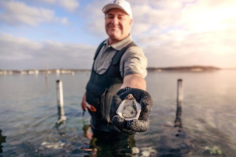 Coffin Bay Oyster Farm & Tasting Tour - Melbourne Tourism 3