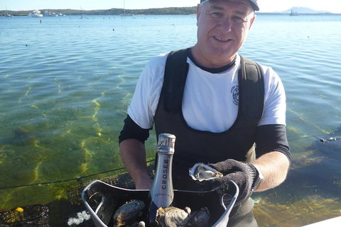 Coffin Bay Oyster Farm & Tasting Tour - Melbourne Tourism 2