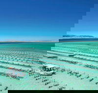 Coffin Bay Day Tour - A Taste of Coffin Bay - Melbourne Tourism