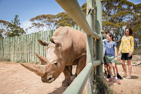 Rhino Interactive And A Day At Monarto Safari Park - Melbourne Tourism 0