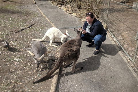 A Taste Of Adelaide And Hahndorf By Car Private Tour. - Melbourne Tourism 8