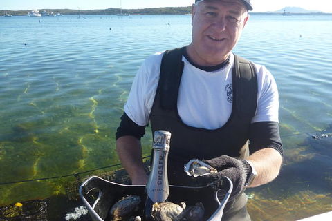 Oyster Farm And Tasting Tour With Hotel Pick-up And Return From Port Lincoln - Melbourne Tourism 0