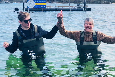 Oyster Farm And Tasting Tour With Hotel Pick-up And Return From Port Lincoln - Melbourne Tourism 5