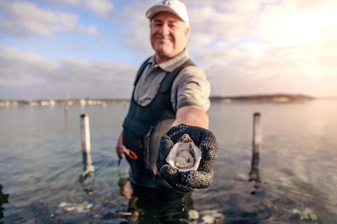 Oyster Farm And Tasting Tour With Hotel Pick-up And Return From Port Lincoln - Melbourne Tourism 3