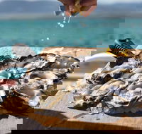 Experience Coffin Bay Short and Sweet Oyster Farm Tour - Melbourne Tourism