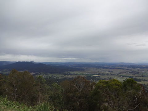 Springbrook AndTamborine Rainforest Tour Incl Natural Bridge And Glow Worm Cave - Melbourne Tourism 7