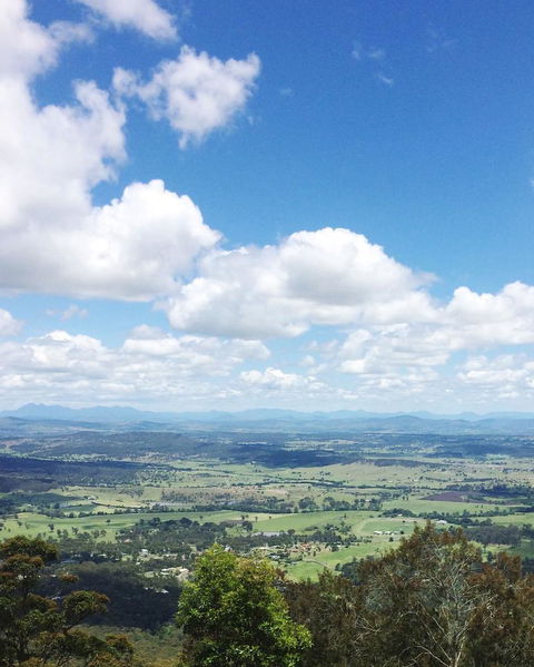 Springbrook AndTamborine Rainforest Tour Incl Natural Bridge And Glow Worm Cave - Melbourne Tourism 5