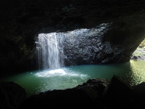 Springbrook AndTamborine Rainforest Tour Incl Natural Bridge And Glow Worm Cave - Melbourne Tourism 2