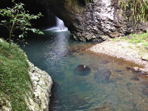 Springbrook AndTamborine Rainforest Tour Incl Natural Bridge And Glow Worm Cave - Melbourne Tourism 6