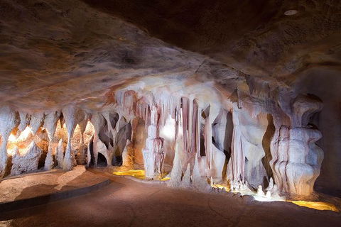 Springbrook AndTamborine Rainforest Tour Incl Natural Bridge And Glow Worm Cave - Melbourne Tourism 9