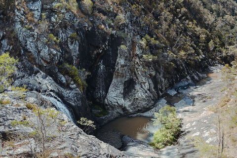 Springbrook AndTamborine Rainforest Tour Incl Natural Bridge And Glow Worm Cave - Melbourne Tourism 15