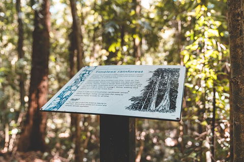 Springbrook AndTamborine Rainforest Tour Incl Natural Bridge And Glow Worm Cave - Melbourne Tourism 14