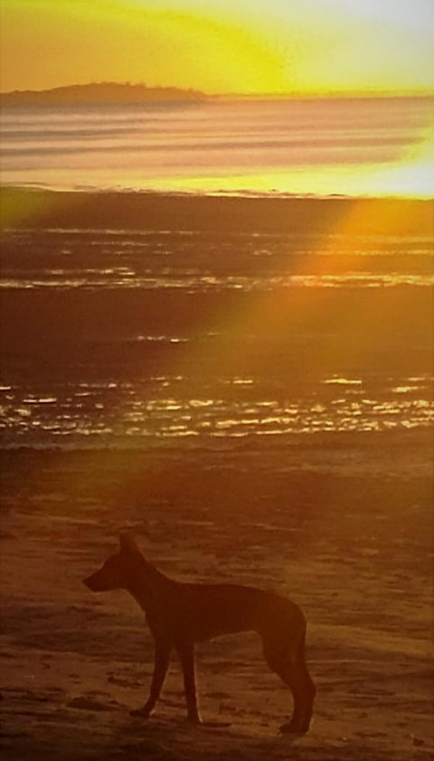 3-Day Fraser Island Resort Package - Melbourne Tourism 3