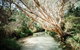 3-Day Fraser Island Resort Package - thumb 11