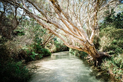 3-Day Fraser Island Resort Package - Melbourne Tourism 11