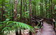 3-Day Fraser Island Resort Package - thumb 8